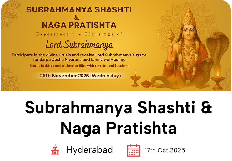 Book Now